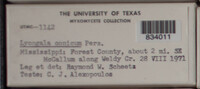 Image Associated With the Occurence
